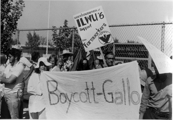 (3691) Gallo Boycott, ILWU members (3691) Gallo Boycott, ILWU members